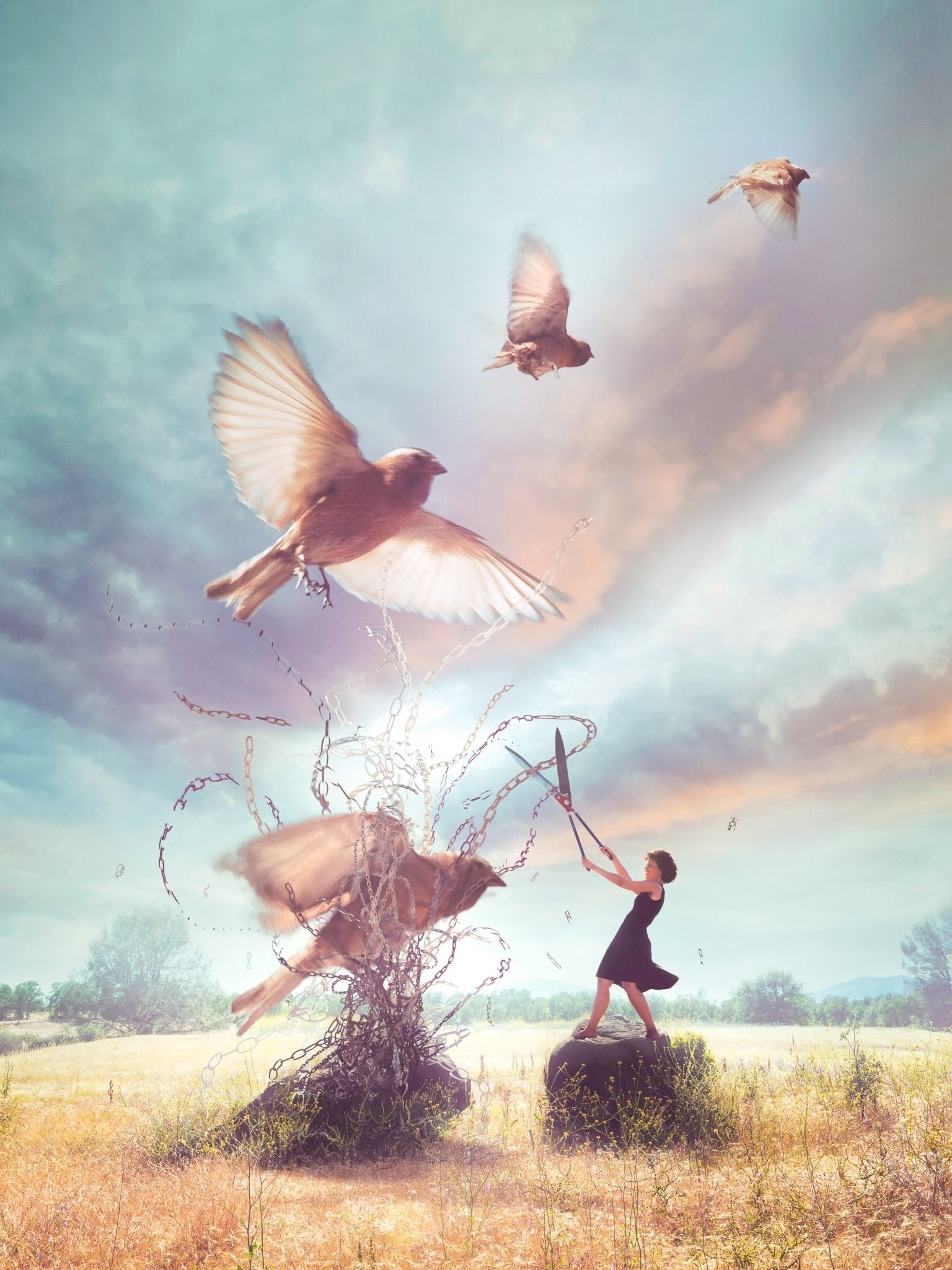 "Letting Go" - image- FIGHTSONG STUDIO-Maari Christante
